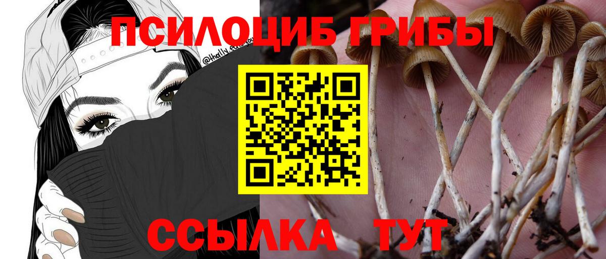 Псилоцибиновые грибы GOLDEN TEACHER  Вход с VPN  Галлюциногенные грибы прущие грибы  Керчь 