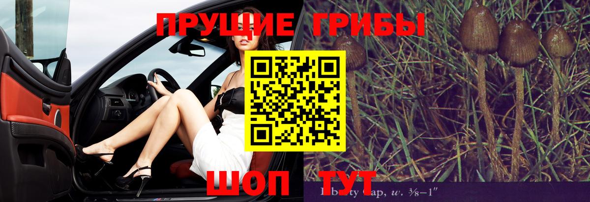 Галлюциногенные грибы Psilocybe Керчь